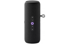 Купить Умная колонка Яндекс Станция с Алисой Стрит Черная