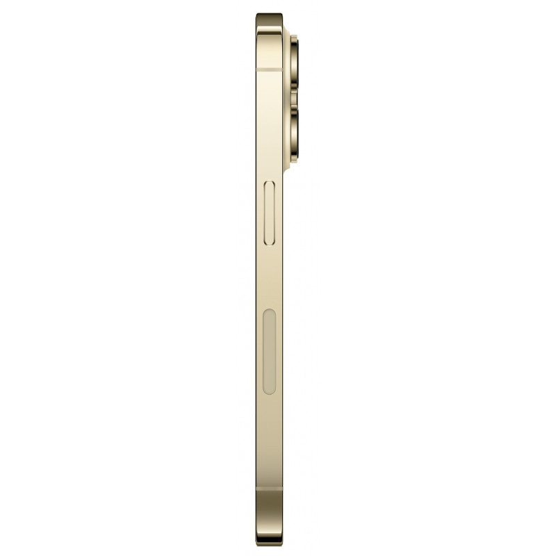 Apple iPhone 14 Pro Max 1TB Gold