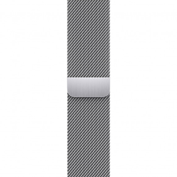 Apple Watch S9 41mm Silver / Stainless Steel Case
