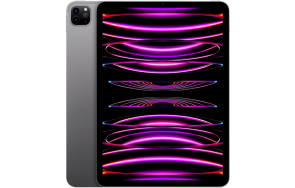 Купить Apple iPad Pro 12.9 WiFi 256Gb Space Gray (2022)