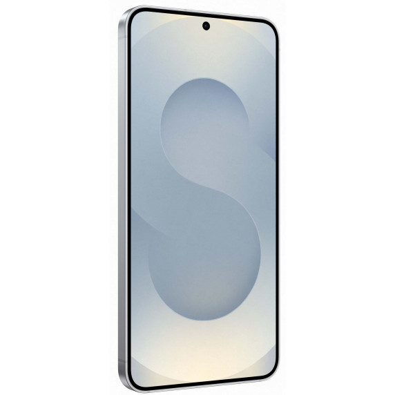 Samsung Galaxy S25 12/256Gb Silver Shadow